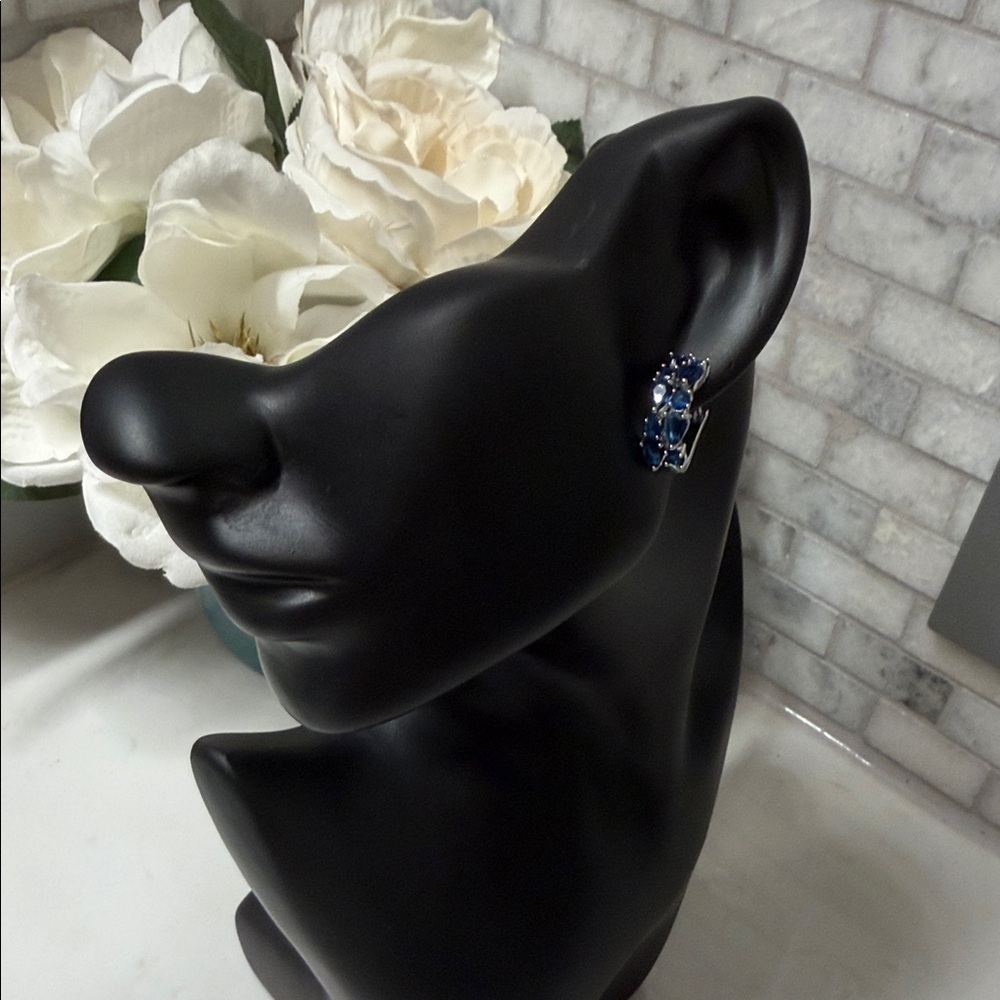 Elegant Blue Gemstone Earrings